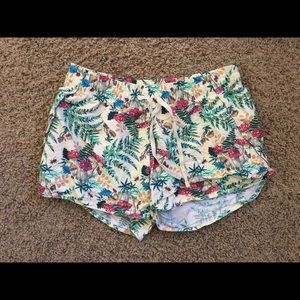 The North Face Shorts